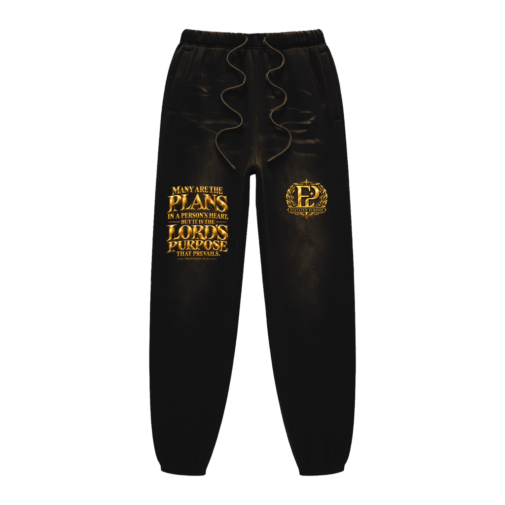 Sunfade Fleeced Sweatpants