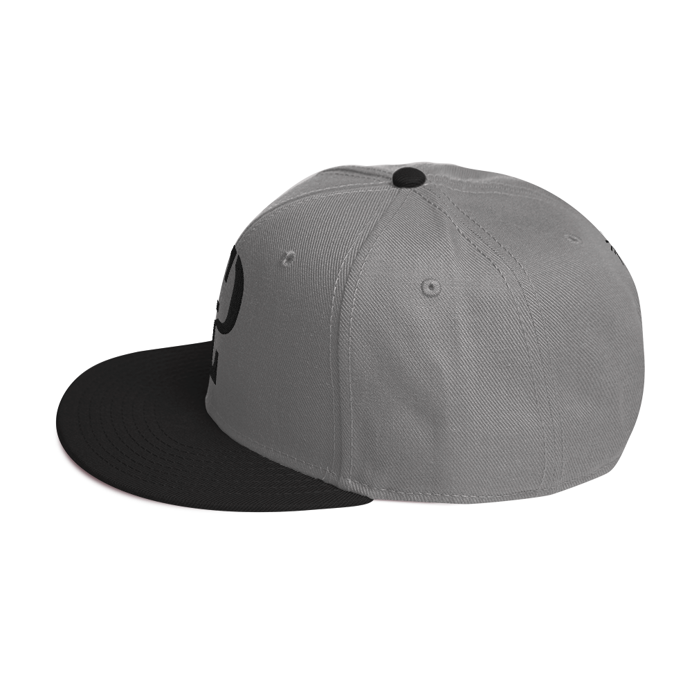 Elevated Purpose Snapback Series - Black/Gray
