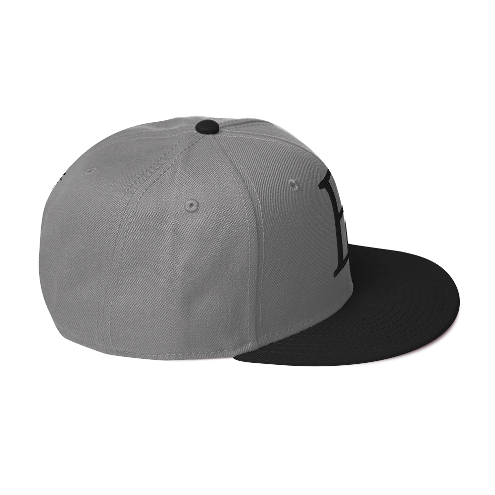 Elevated Purpose Snapback Series - Black/Gray