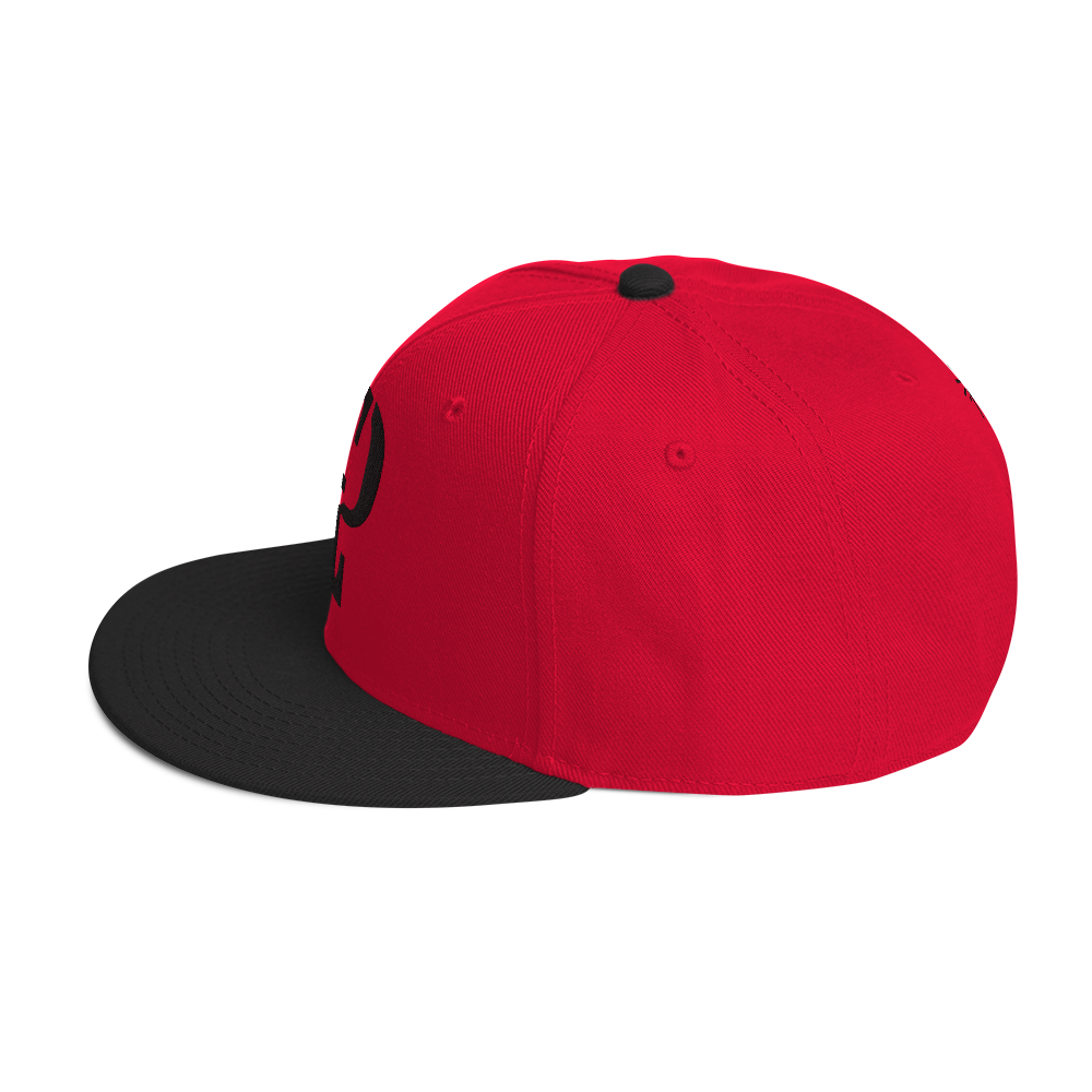 Elevated Purpose Snapback Series - Red/Black