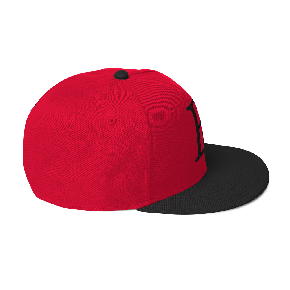 Elevated Purpose Snapback Series - Red/Black