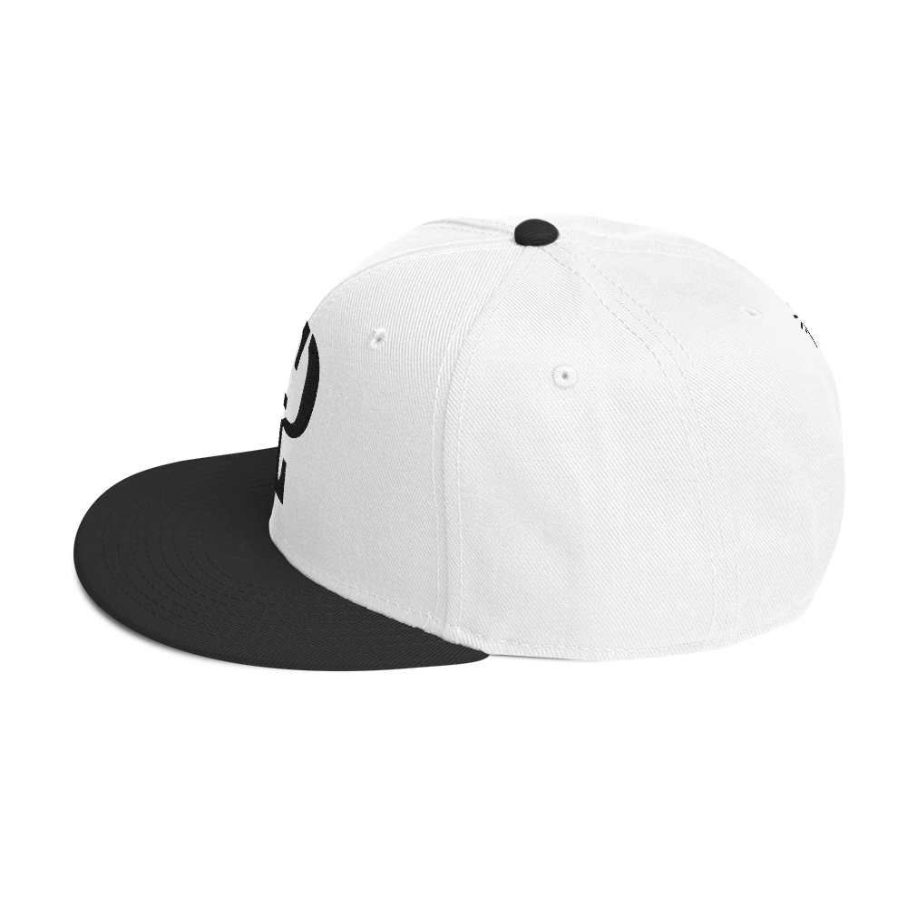 Elevated Purpose Snapback Series - Black/White