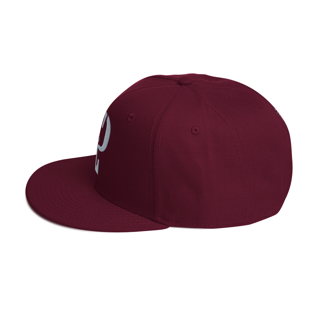 Elevated Purpose Snapback Series - Maroon