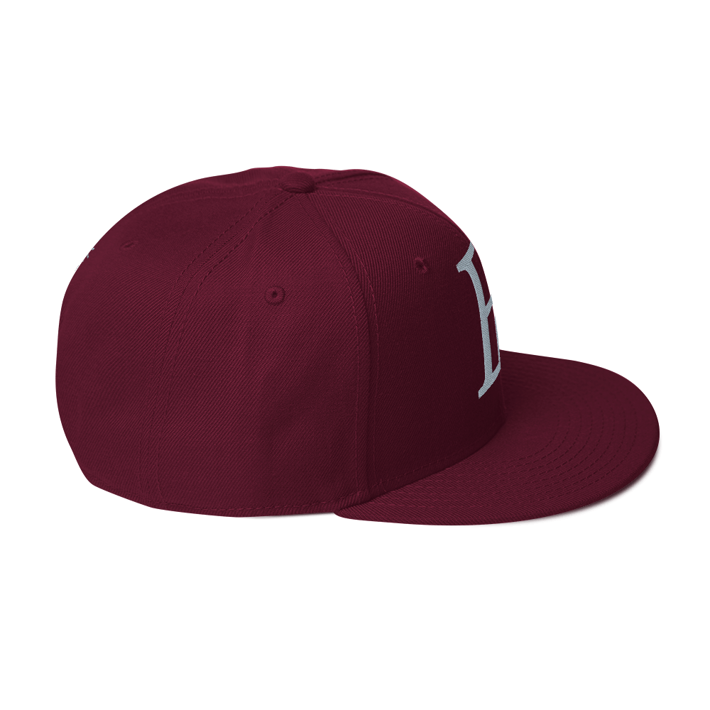 Elevated Purpose Snapback Series - Maroon