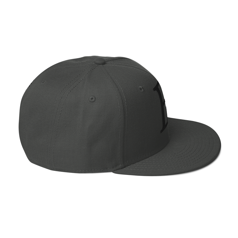 Elevated Purpose Snapback Series - Charcoal Gray