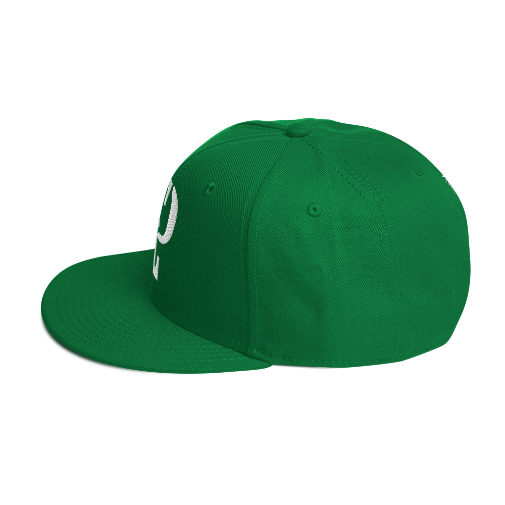 Elevated Purpose Snapback Series - Green