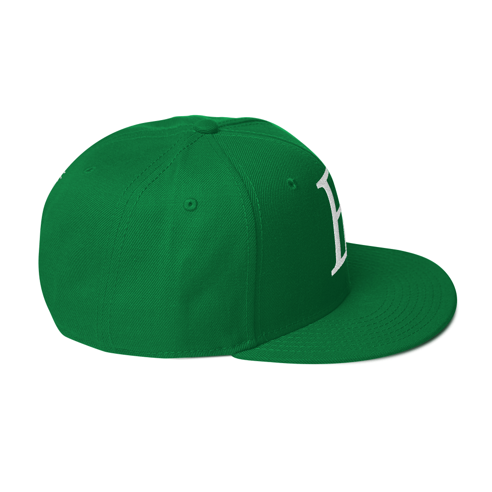 Elevated Purpose Snapback Series - Green