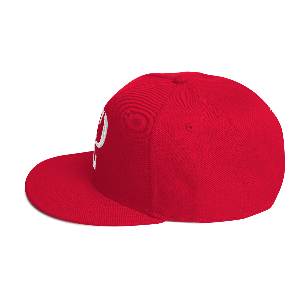 Elevated Purpose Snapback Series - Red