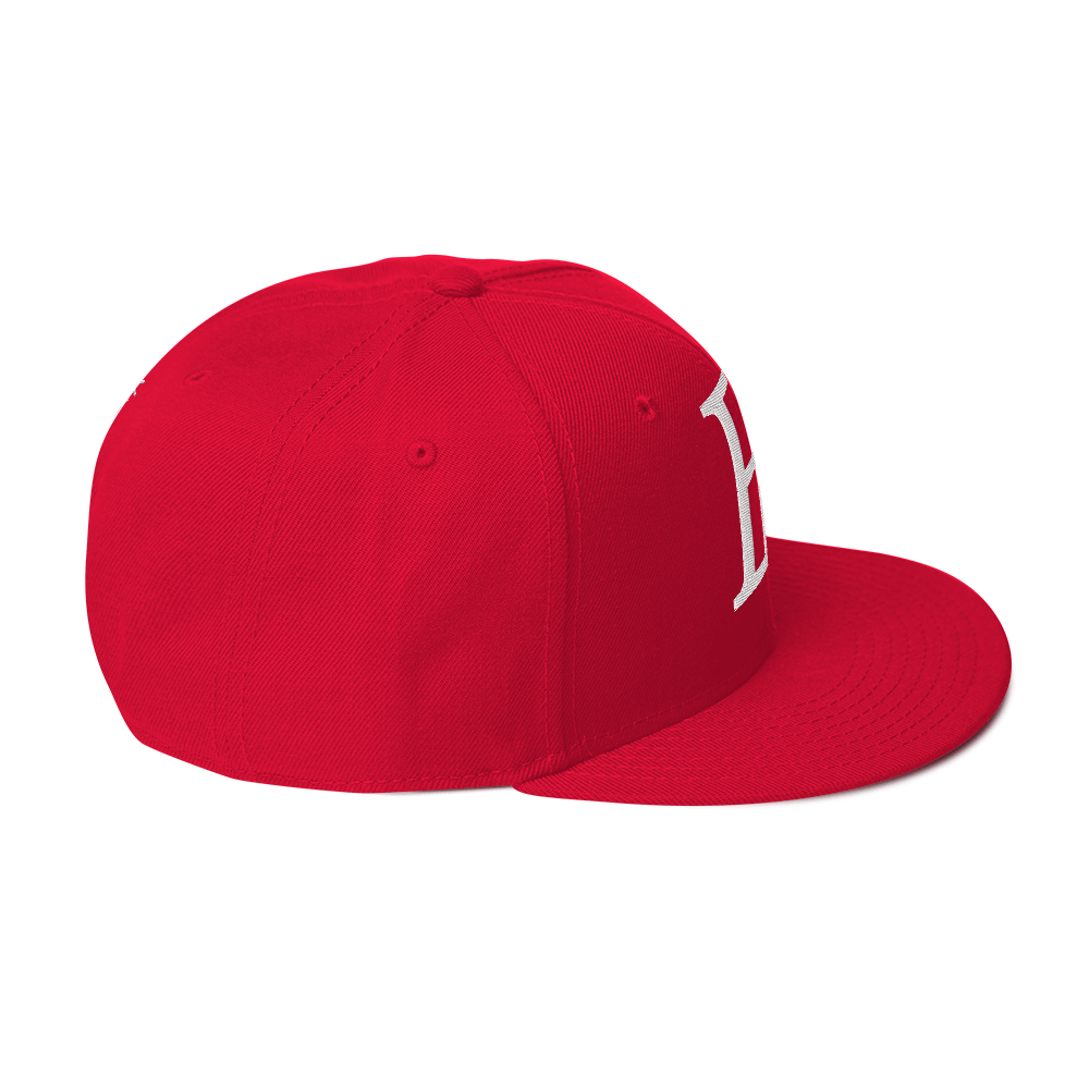 Elevated Purpose Snapback Series - Red